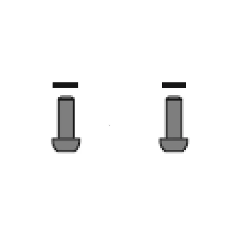 SRAM Titanium Flat Mount Bolt 2-pack - 42mm