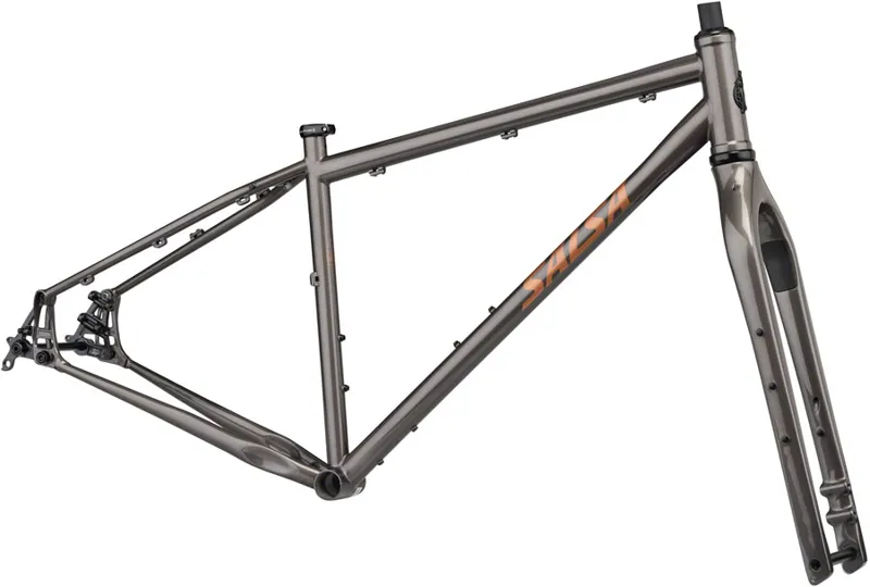 Salsa Fargo Frameset - Steel-1