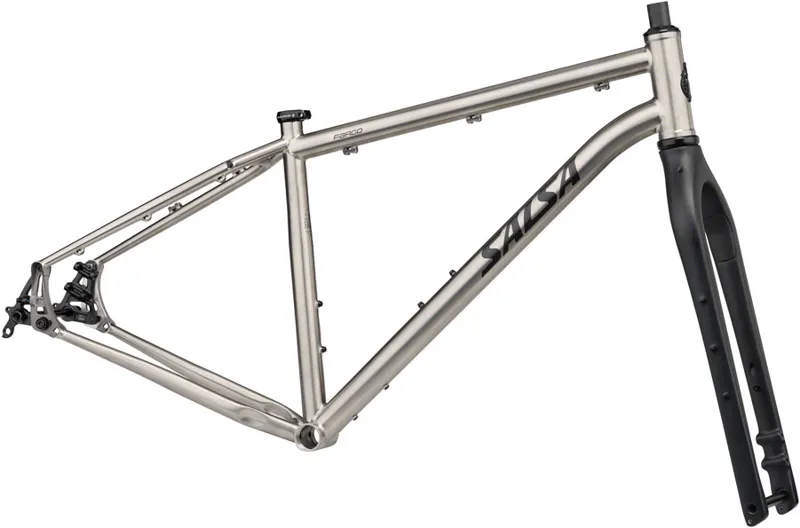 Salsa Fargo Ti Frameset - 29 Titanium Raw