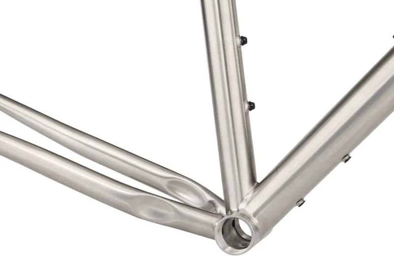 Salsa Fargo Ti Frameset - 29 Titanium Raw-4